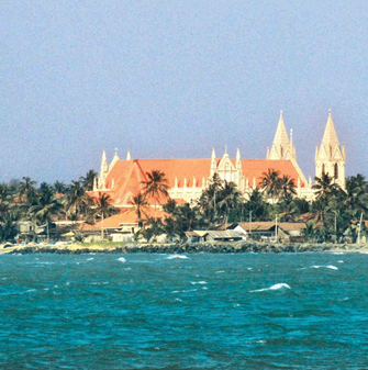 firdip image